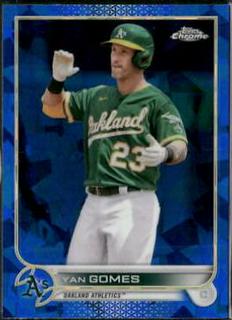 Yan Gomes