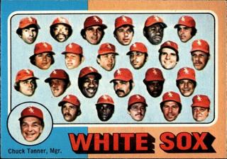 White Sox Team