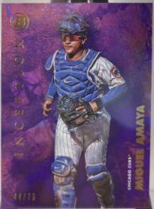 Miguel Amaya