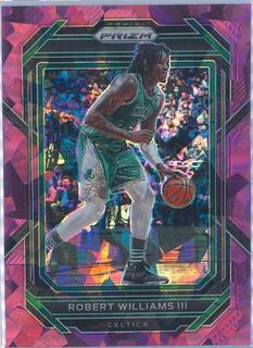 Robert Williams III