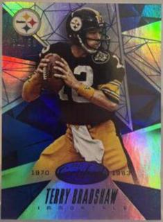Terry Bradshaw