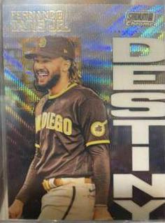 Fernando Tatis Jr.