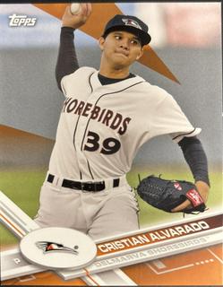 Cristian Alvarado