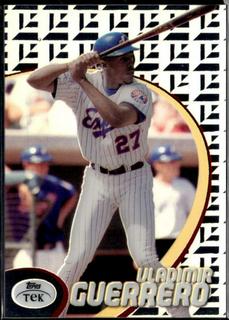 Vladimir Guerrero