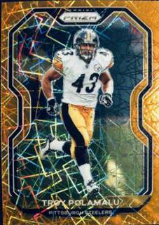 Troy Polamalu