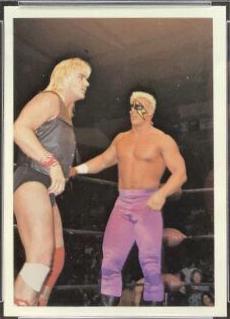 Barry Windham, Sting #9 Wrestling Cards 1988 Wonderama NWA