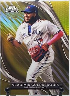 Vladimir Guerrero Jr.
