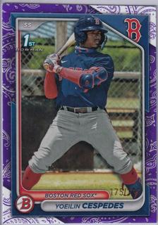 Yoeilin Cespedes