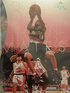 Isaiah Rider