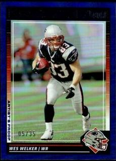 Wes Welker