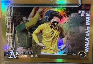 Jacob Wilson
