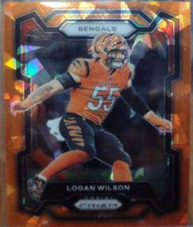 Logan Wilson