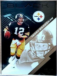 Terry Bradshaw
