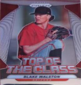 Blake Walston