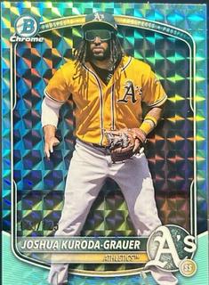Joshua Kuroda-Grauer