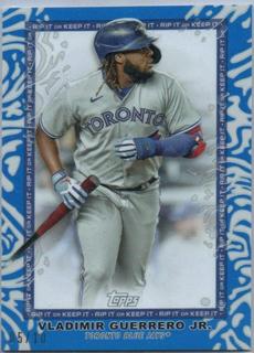 Vladimir Guerrero Jr.