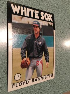 Floyd Bannister