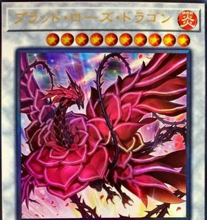 Ruddy Rose Dragon LIOV-JP035