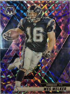 Wes Welker