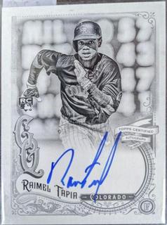 Raimel Tapia