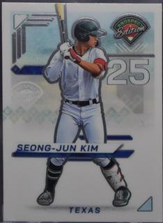 Seong-Jun Kim
