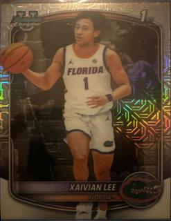 Xaivian Lee