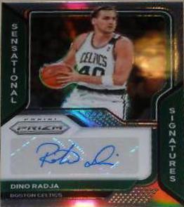 Dino Radja
