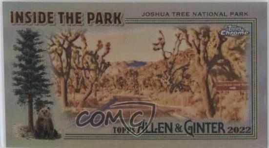 Joshua Tree National Park #ITP-30