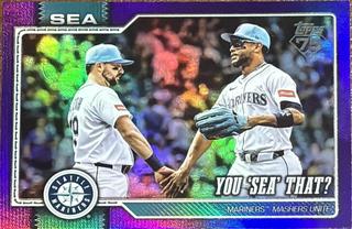 You 'Sea' That?