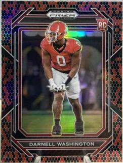 Darnell Washington