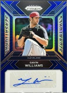 Gavin Williams
