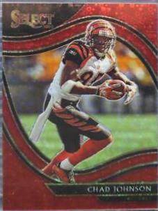 Chad Johnson