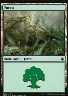Forest