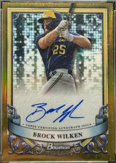 Brock Wilken