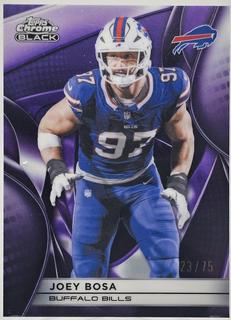 Joey Bosa