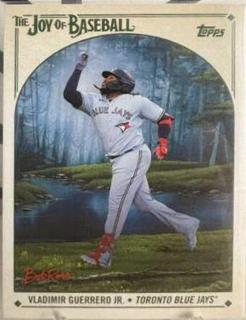 Vladimir Guerrero Jr.