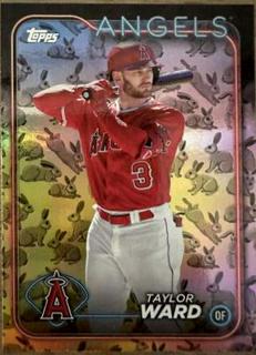 Taylor Ward
