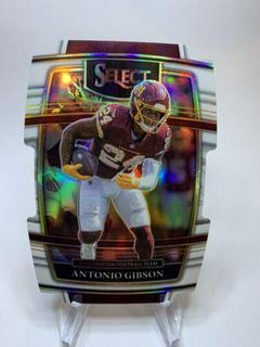 Antonio Gibson
