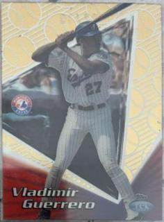 Vladimir Guerrero