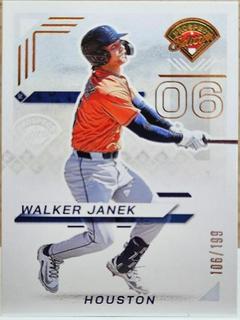 Walker Janek