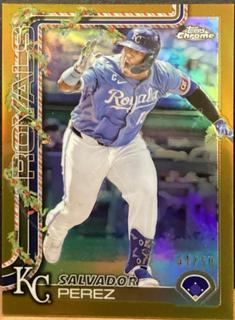 Salvador Perez
