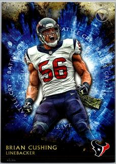 Brian Cushing