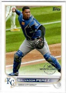 Salvador Perez