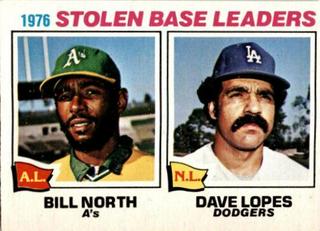 Stolen Base Leaders