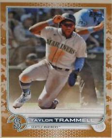 Taylor Trammell