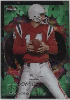 Steve Grogan
