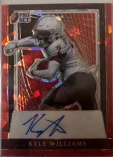 Kyle Williams