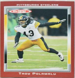 Troy Polamalu