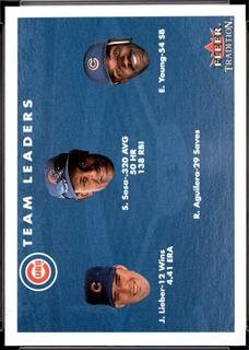 Cubs Team Leaders