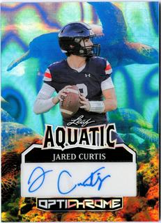 Jared Curtis